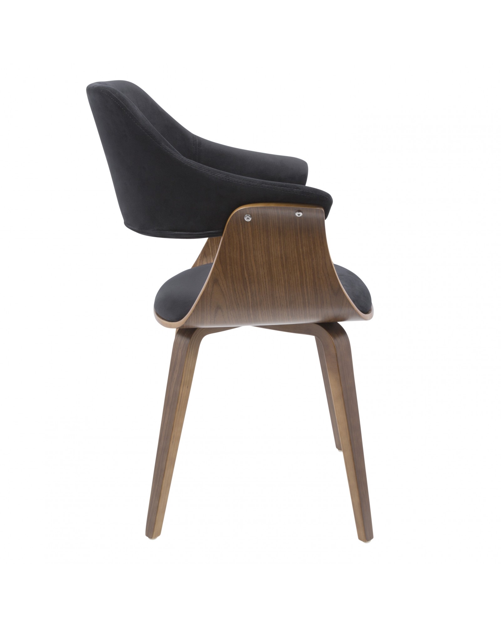 Lucci Mid-Century Modern Chair in Walnut and Black Velvet